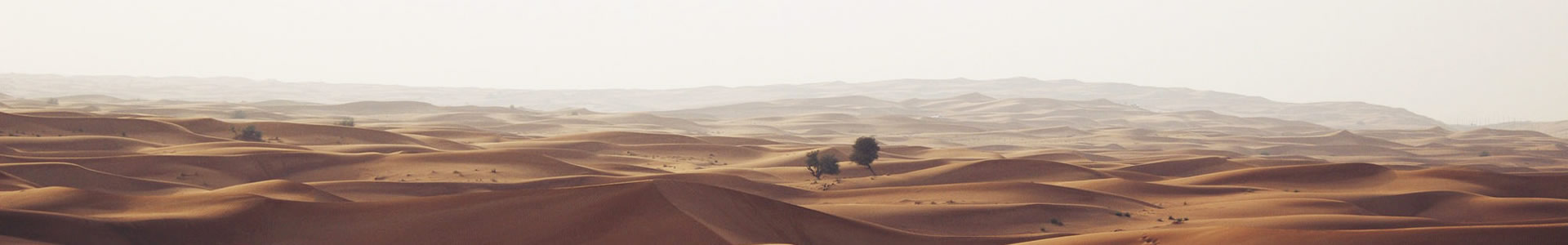 ӱϪɭܿƼ޹˾